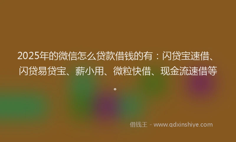 2025年的微信怎么贷款借钱的有：闪贷宝速借、闪贷易贷宝、薪小用、微粒快借、现金流速借等。
