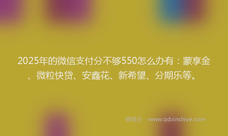 2025年的微信支付分不够550怎么办有：蒙享金、微粒快贷、安鑫花、新希望、分期乐等。