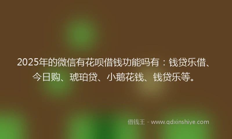 2025年的微信有花呗借钱功能吗有：钱贷乐借、今日购、琥珀贷、小鹅花钱、钱贷乐等。