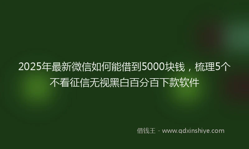 2025年最新微信如何能借到5000块钱，梳理5个不看征信无视黑白百分百下款软件
