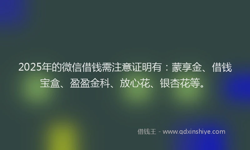 2025年的微信借钱需注意证明有：蒙享金、借钱宝盒、盈盈金科、放心花、银杏花等。