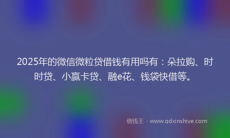 2025年的微信微粒贷借钱有用吗有：朵拉购、时时贷、小赢卡贷、融e花、钱袋快借等。