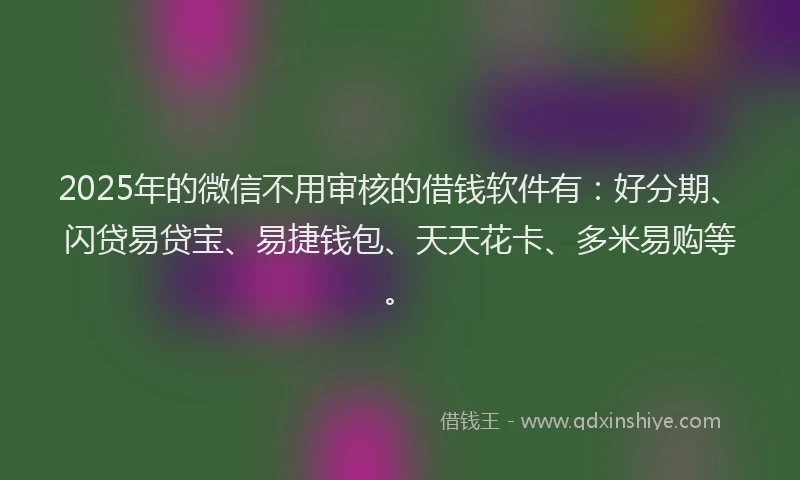 2025年的微信不用审核的借钱软件有：好分期、闪贷易贷宝、易捷钱包、天天花卡、多米易购等。