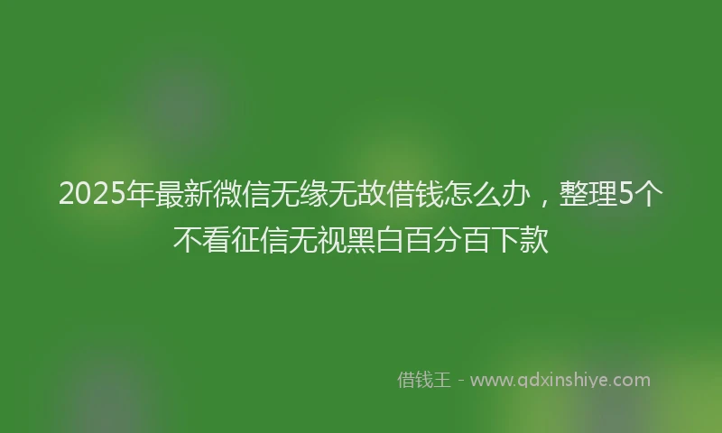 2025年最新微信无缘无故借钱怎么办，整理5个不看征信无视黑白百分百下款