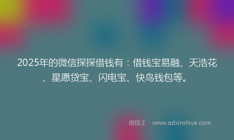 2025年的微信探探借钱有：借钱宝易融、天浩花、星愿贷宝、闪电宝、快鸟钱包等。
