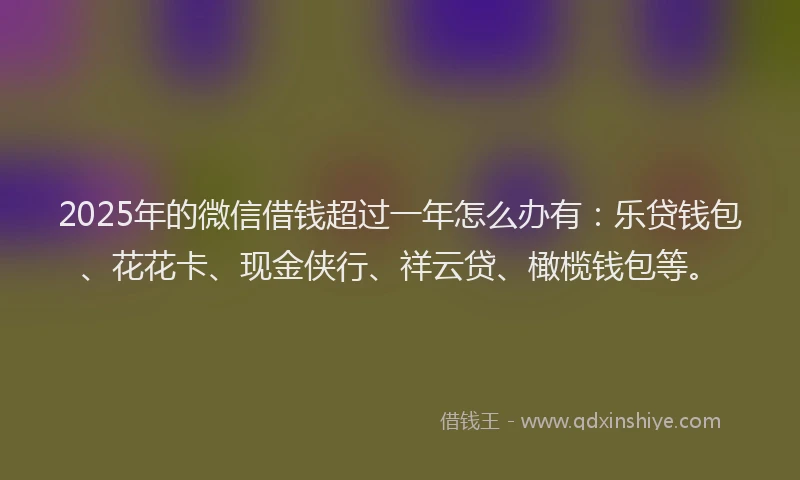 2025年的微信借钱超过一年怎么办有：乐贷钱包、花花卡、现金侠行、祥云贷、橄榄钱包等。