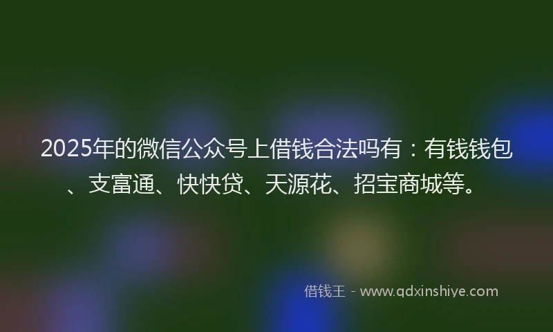 2025年的微信公众号上借钱合法吗有：有钱钱包、支富通、快快贷、天源花、招宝商城等。