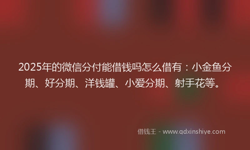 2025年的微信分付能借钱吗怎么借有：小金鱼分期、好分期、洋钱罐、小爱分期、射手花等。