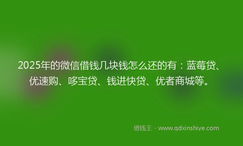 2025年的微信借钱几块钱怎么还的有：蓝莓贷、优速购、哆宝贷、钱进快贷、优者商城等。