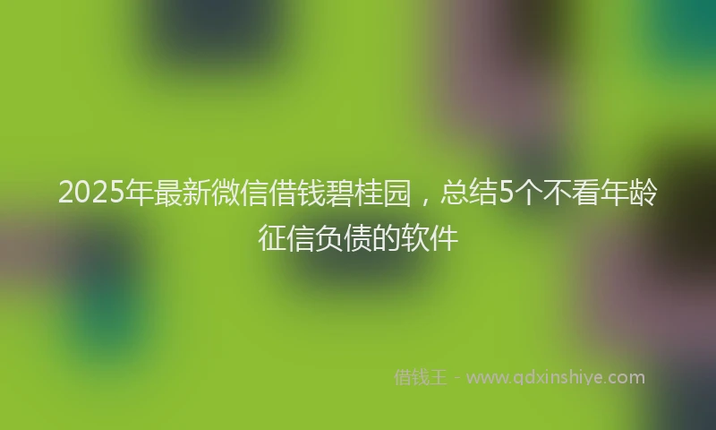 2025年最新微信借钱碧桂园，总结5个不看年龄征信负债的软件