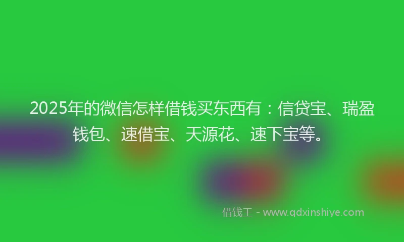 2025年的微信怎样借钱买东西有：信贷宝、瑞盈钱包、速借宝、天源花、速下宝等。
