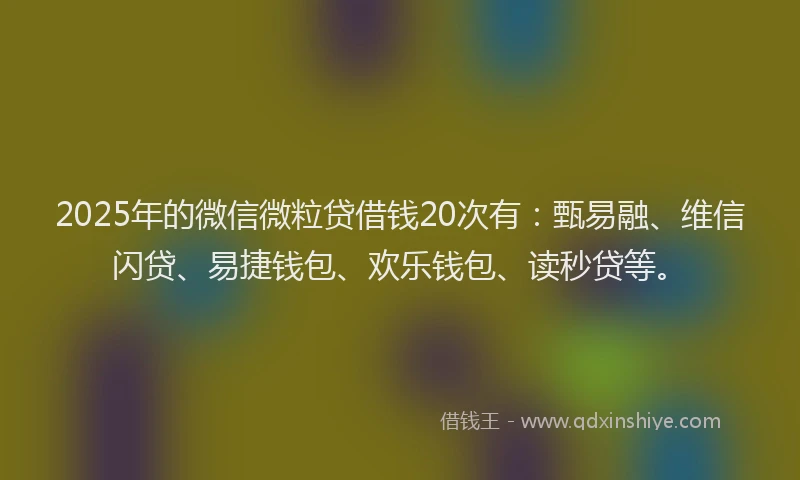 2025年的微信微粒贷借钱20次有：甄易融、维信闪贷、易捷钱包、欢乐钱包、读秒贷等。