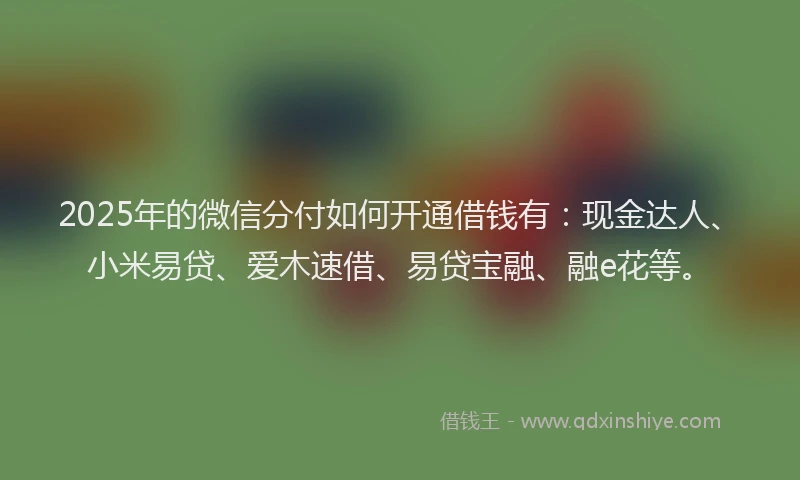2025年的微信分付如何开通借钱有：现金达人、小米易贷、爱木速借、易贷宝融、融e花等。