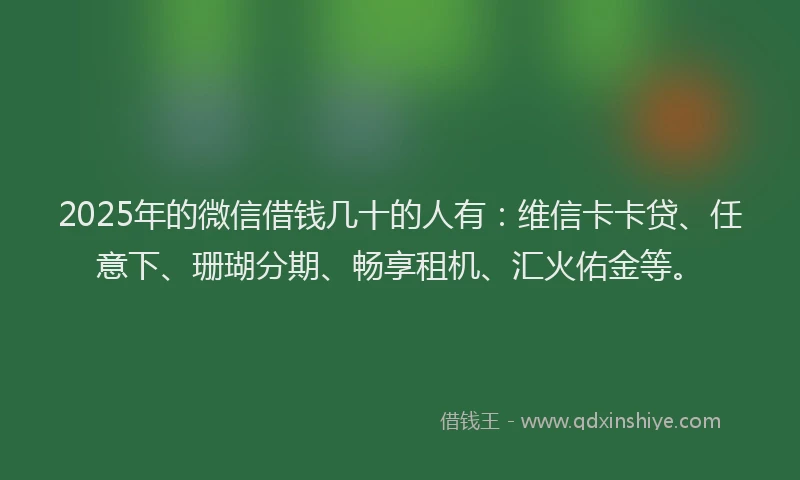 2025年的微信借钱几十的人有：维信卡卡贷、任意下、珊瑚分期、畅享租机、汇火佑金等。