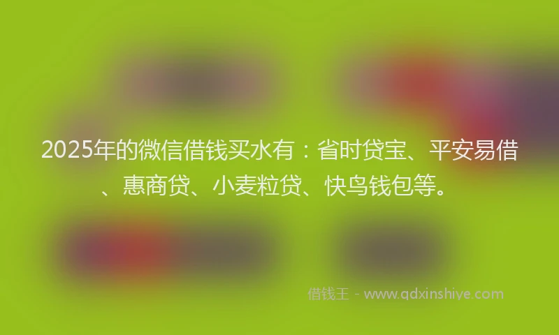 2025年的微信借钱买水有：省时贷宝、平安易借、惠商贷、小麦粒贷、快鸟钱包等。