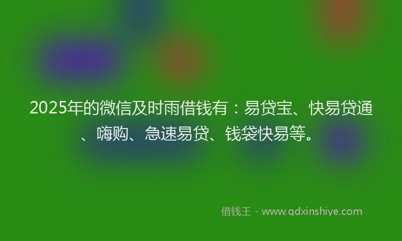 2025年的微信及时雨借钱有：易贷宝、快易贷通、嗨购、急速易贷、钱袋快易等。