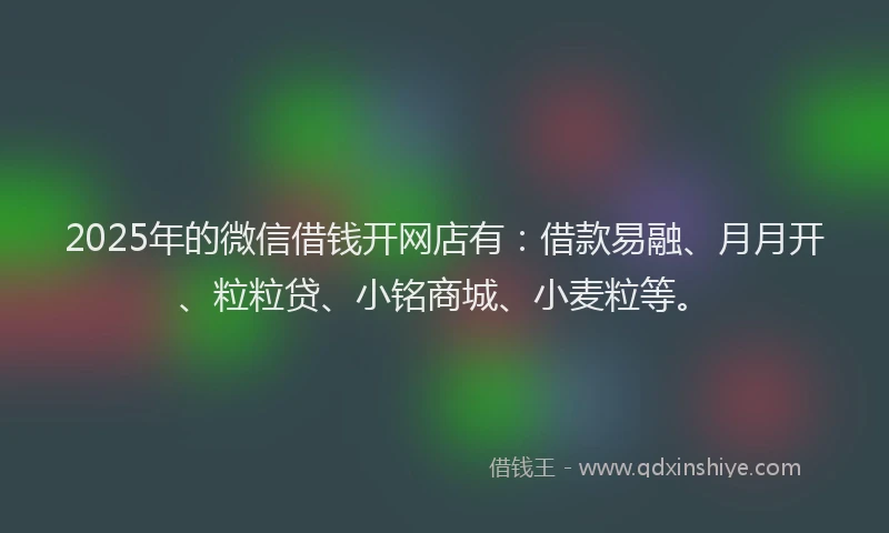 2025年的微信借钱开网店有：借款易融、月月开、粒粒贷、小铭商城、小麦粒等。