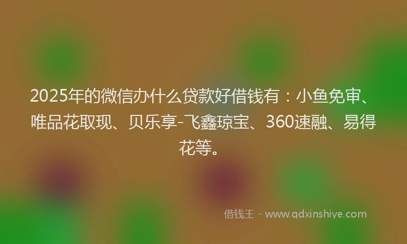 2025年的微信办什么贷款好借钱有：小鱼免审、唯品花取现、贝乐享-飞鑫琼宝、360速融、易得花等。