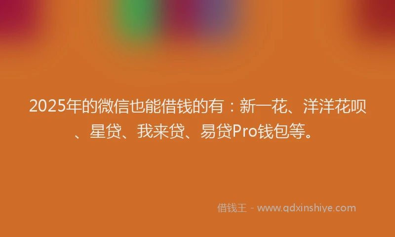 2025年的微信也能借钱的有：新一花、洋洋花呗、星贷、我来贷、易贷Pro钱包等。
