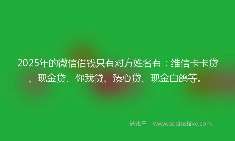 2025年的微信借钱只有对方姓名有：维信卡卡贷、现金贷、你我贷、臻心贷、现金白鸽等。