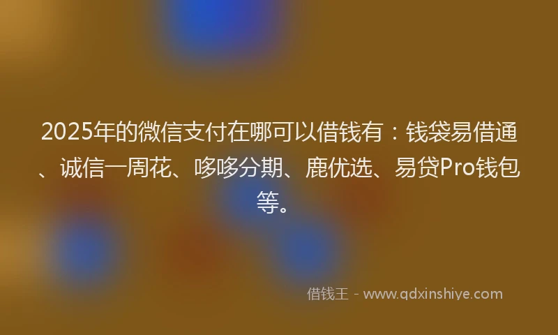 2025年的微信支付在哪可以借钱有：钱袋易借通、诚信一周花、哆哆分期、鹿优选、易贷Pro钱包等。