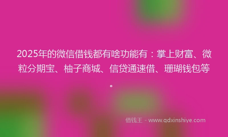 2025年的微信借钱都有啥功能有：掌上财富、微粒分期宝、柚子商城、信贷通速借、珊瑚钱包等。