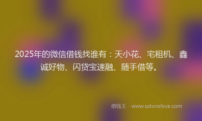 2025年的微信借钱找谁有：天小花、宅租机、鑫诚好物、闪贷宝速融、随手借等。