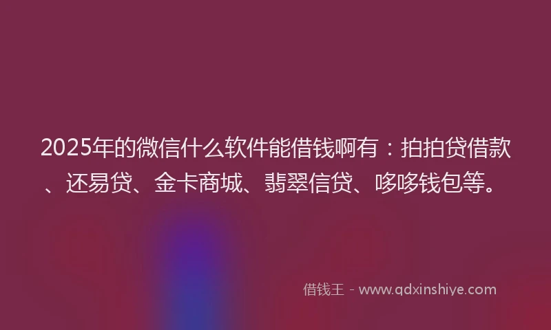 2025年的微信什么软件能借钱啊有：拍拍贷借款、还易贷、金卡商城、翡翠信贷、哆哆钱包等。