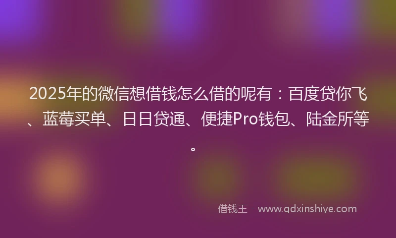 2025年的微信想借钱怎么借的呢有：百度贷你飞、蓝莓买单、日日贷通、便捷Pro钱包、陆金所等。