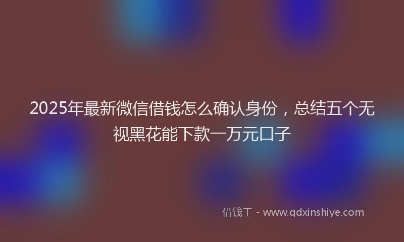 2025年最新微信借钱怎么确认身份，总结五个无视黑花能下款一万元口子