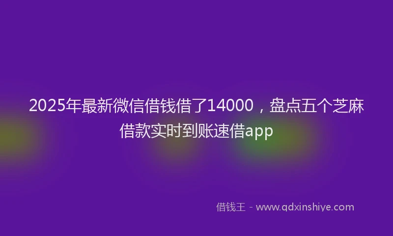 2025年最新微信借钱借了14000，盘点五个芝麻借款实时到账速借app