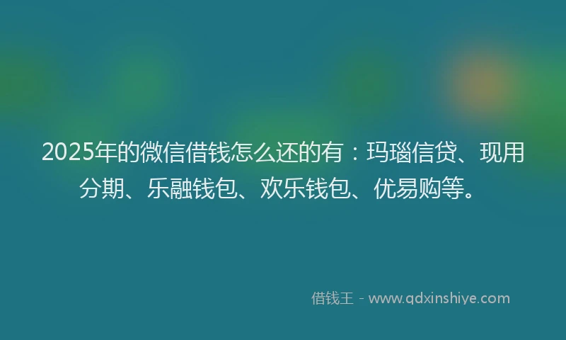 2025年的微信借钱怎么还的有：玛瑙信贷、现用分期、乐融钱包、欢乐钱包、优易购等。