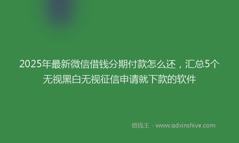 2025年最新微信借钱分期付款怎么还，汇总5个无视黑白无视征信申请就下款的软件