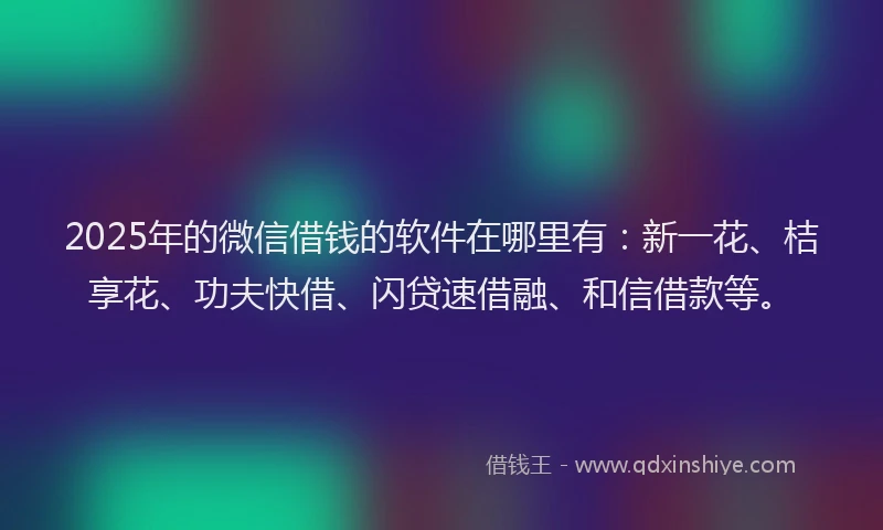 2025年的微信借钱的软件在哪里有：新一花、桔享花、功夫快借、闪贷速借融、和信借款等。