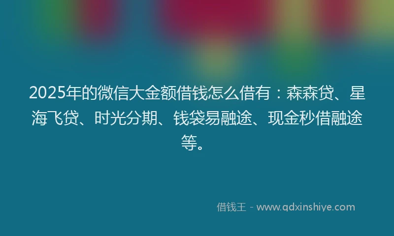 2025年的微信大金额借钱怎么借有：森森贷、星海飞贷、时光分期、钱袋易融途、现金秒借融途等。