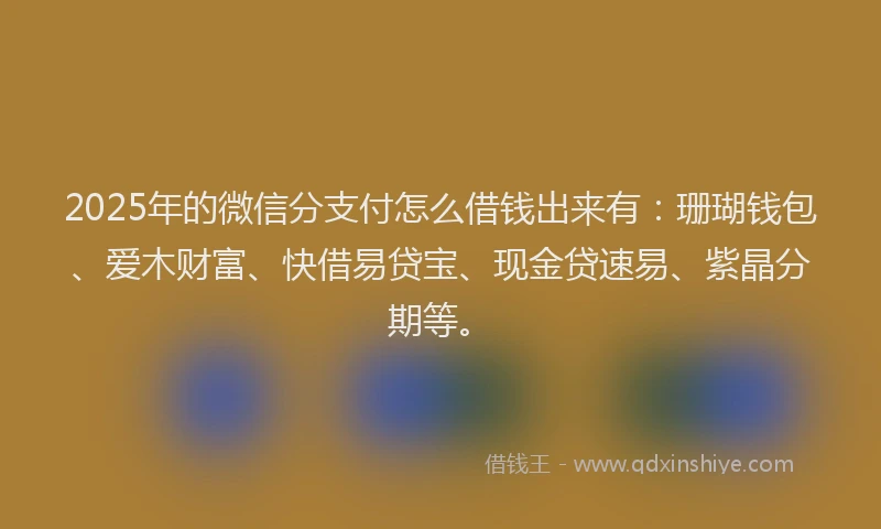 2025年的微信分支付怎么借钱出来有：珊瑚钱包、爱木财富、快借易贷宝、现金贷速易、紫晶分期等。