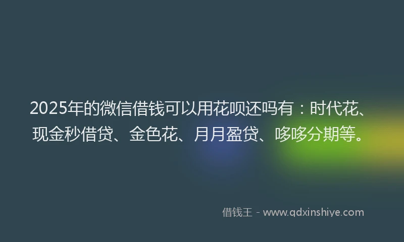 2025年的微信借钱可以用花呗还吗有：时代花、现金秒借贷、金色花、月月盈贷、哆哆分期等。