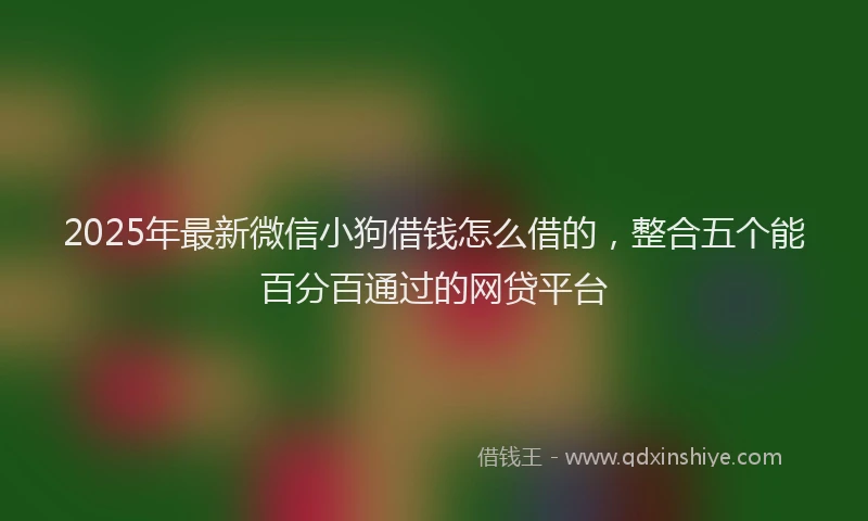 2025年最新微信小狗借钱怎么借的，整合五个能百分百通过的网贷平台