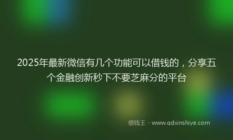 2025年最新微信有几个功能可以借钱的，分享五个金融创新秒下不要芝麻分的平台