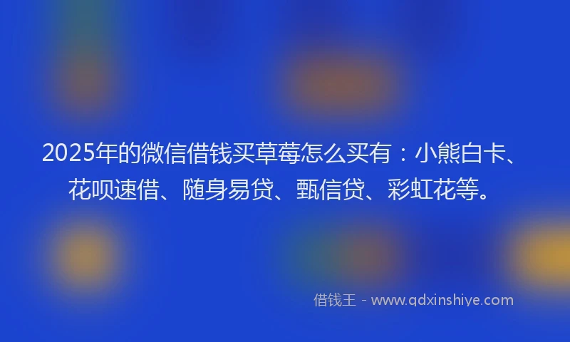 2025年的微信借钱买草莓怎么买有：小熊白卡、花呗速借、随身易贷、甄信贷、彩虹花等。