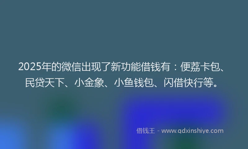 2025年的微信出现了新功能借钱有：便荔卡包、民贷天下、小金象、小鱼钱包、闪借快行等。