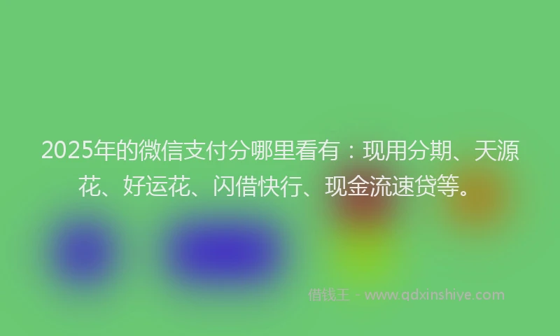 2025年的微信支付分哪里看有：现用分期、天源花、好运花、闪借快行、现金流速贷等。