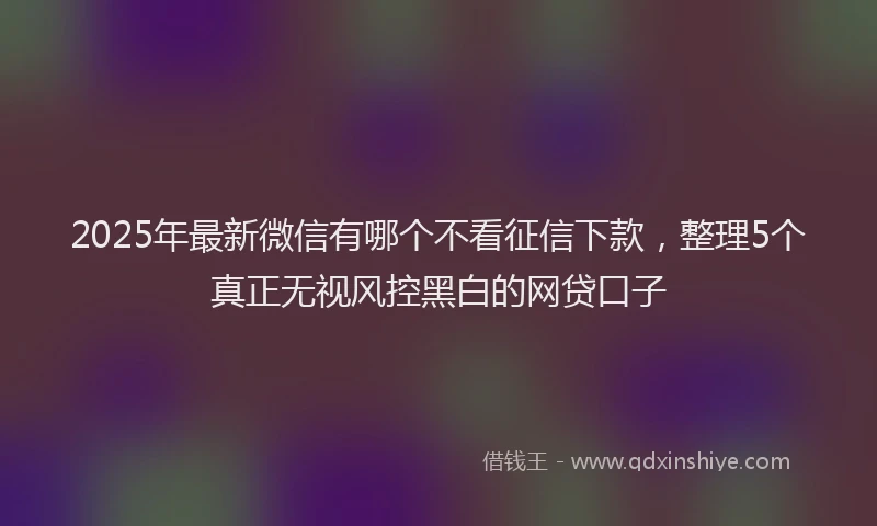 2025年最新微信有哪个不看征信下款，整理5个真正无视风控黑白的网贷口子