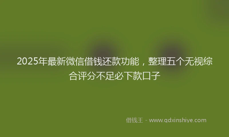 2025年最新微信借钱还款功能，整理五个无视综合评分不足必下款口子
