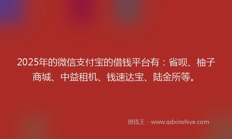 2025年的微信支付宝的借钱平台有：省呗、柚子商城、中益租机、钱速达宝、陆金所等。