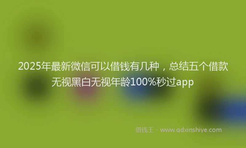 2025年最新微信可以借钱有几种，总结五个借款无视黑白无视年龄100%秒过app