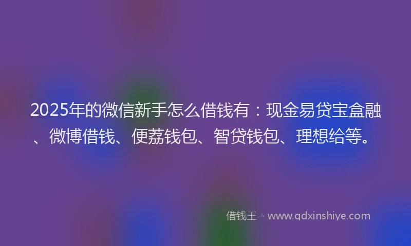2025年的微信新手怎么借钱有：现金易贷宝盒融、微博借钱、便荔钱包、智贷钱包、理想给等。