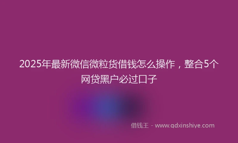 2025年最新微信微粒货借钱怎么操作，整合5个网贷黑户必过口子