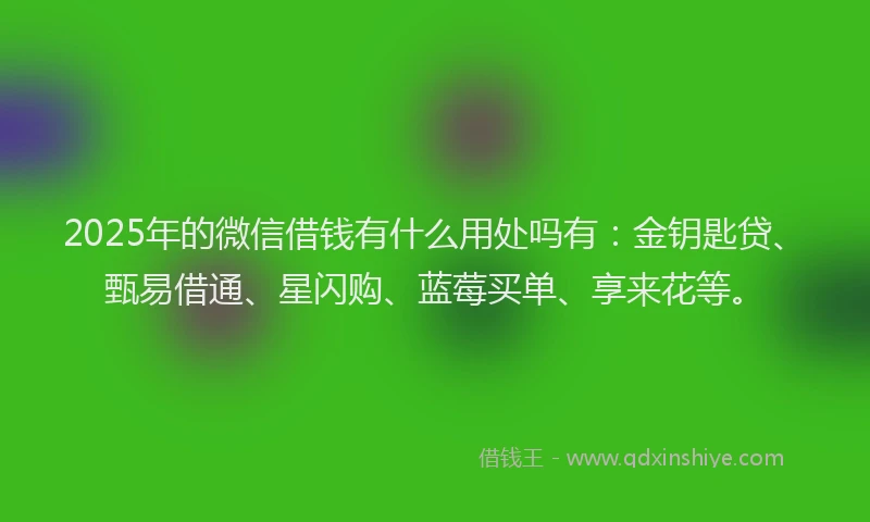 2025年的微信借钱有什么用处吗有：金钥匙贷、甄易借通、星闪购、蓝莓买单、享来花等。