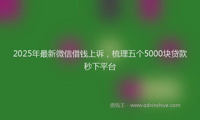 2025年最新微信借钱上诉，梳理五个5000块贷款秒下平台